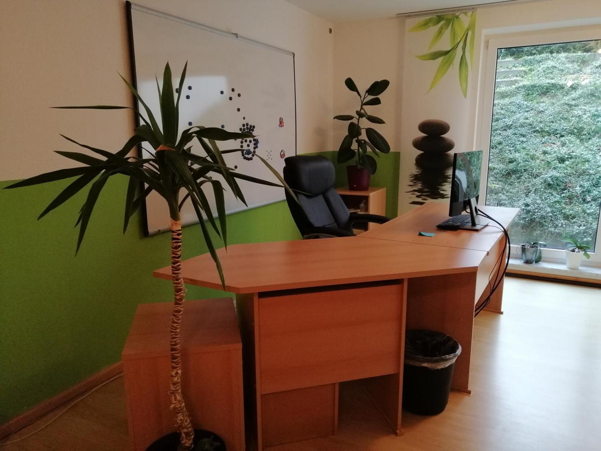 Homestay Borger
